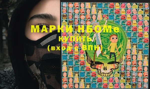 прущие грибы Козельск