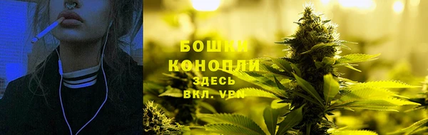 прущие грибы Козельск