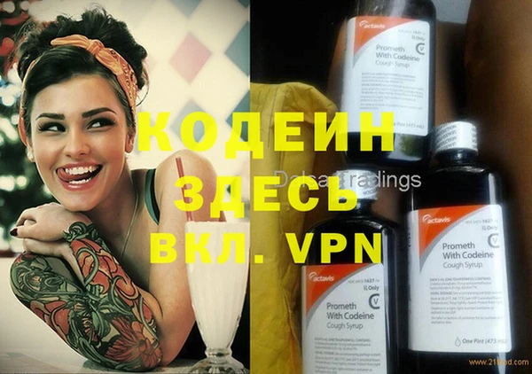 прущие грибы Козельск