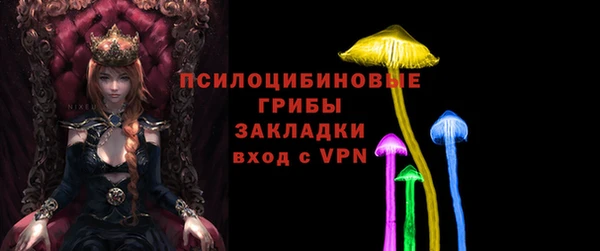 прущие грибы Козельск