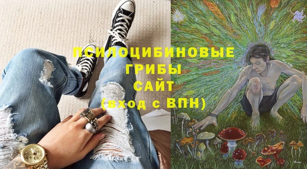 a pvp Козловка