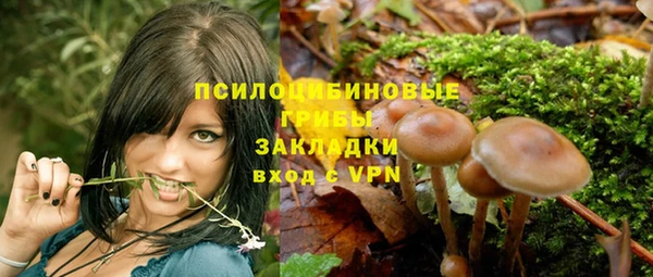 a pvp Козловка