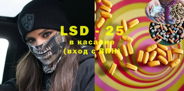 прущие грибы Козельск