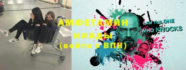 прущие грибы Козельск