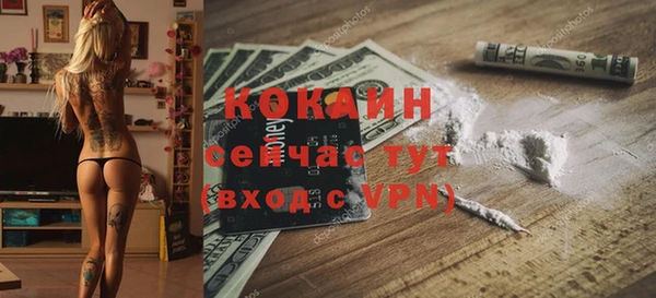 прущие грибы Козельск