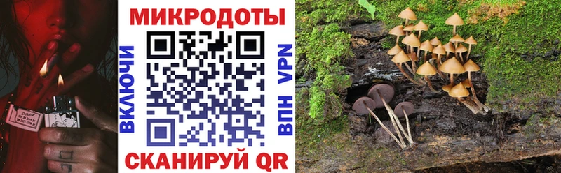 Псилоцибиновые грибы Psilocybine cubensis  гидра зеркало  Оленегорск 